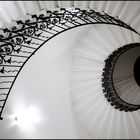 Tulip Staircase