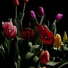 tulipánes y luz
