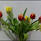 Tulipani