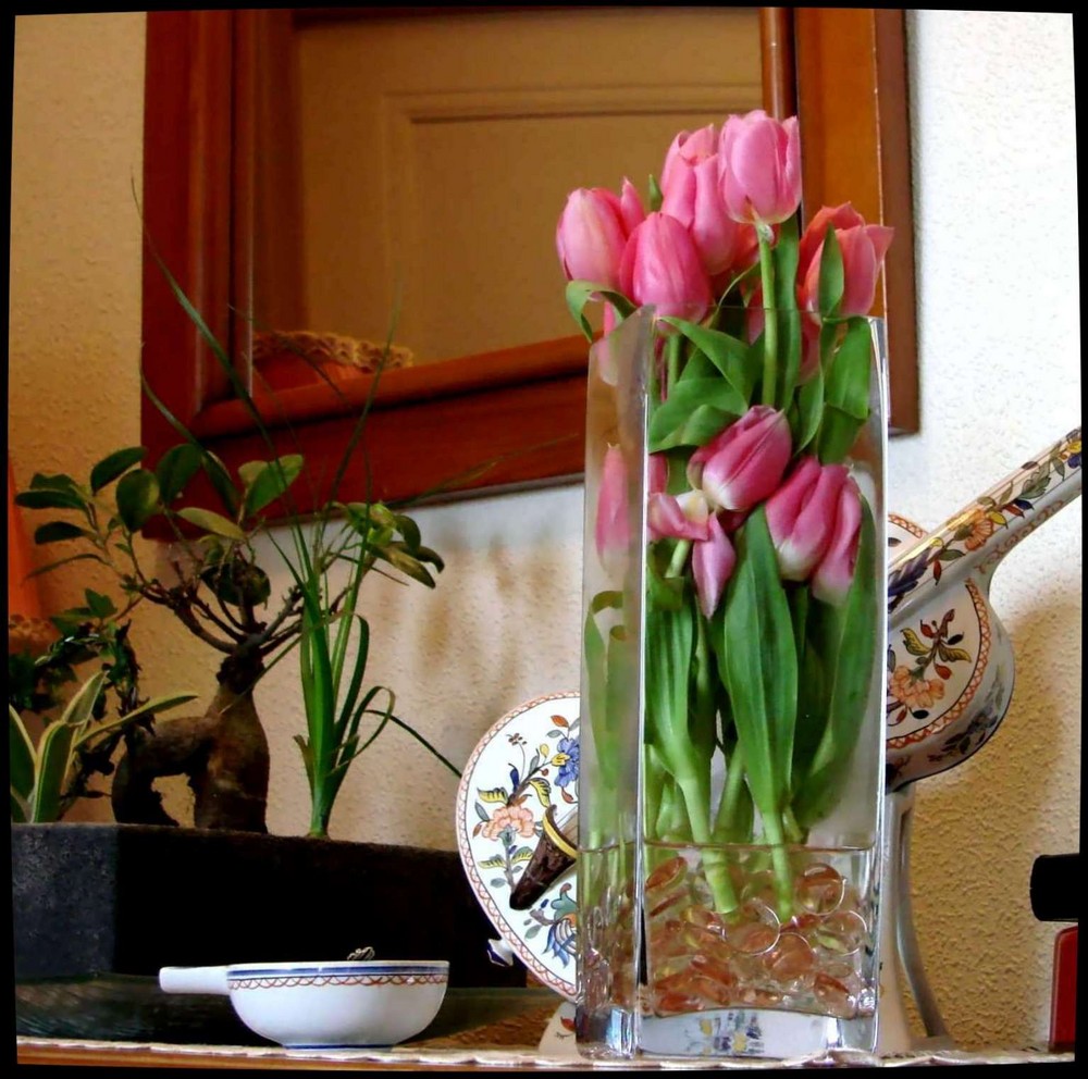 Tulipes prisonnières