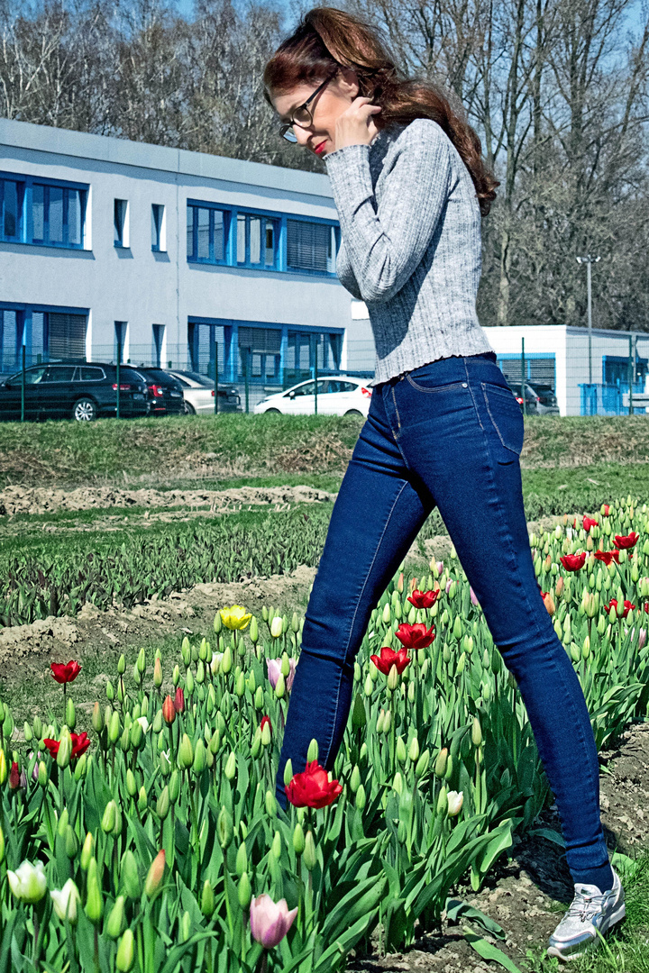  Tulips Fields Forever - Beate Stroehlein