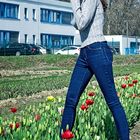  Tulips Fields Forever - Beate Stroehlein