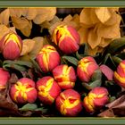 Tulips n. 3