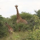 Tulli Block , Botswana 