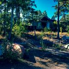 Tullviksbäcken Naturreservat in der Nähe von Grisslehamn.