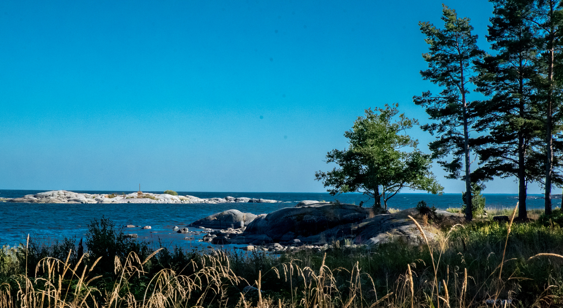 Tullviksbäcken Naturreservat in der Nähe von Grisslehamn.