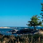 Tullviksbäcken Naturreservat in der Nähe von Grisslehamn.