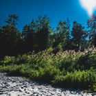 Tullviksbäcken Naturreservat in der Nähe von Grisslehamn.