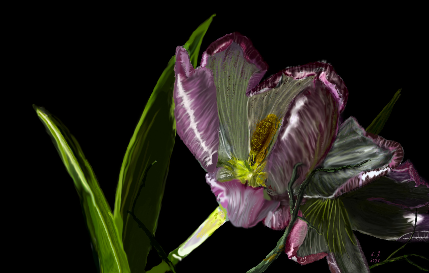 Tulpe_digital