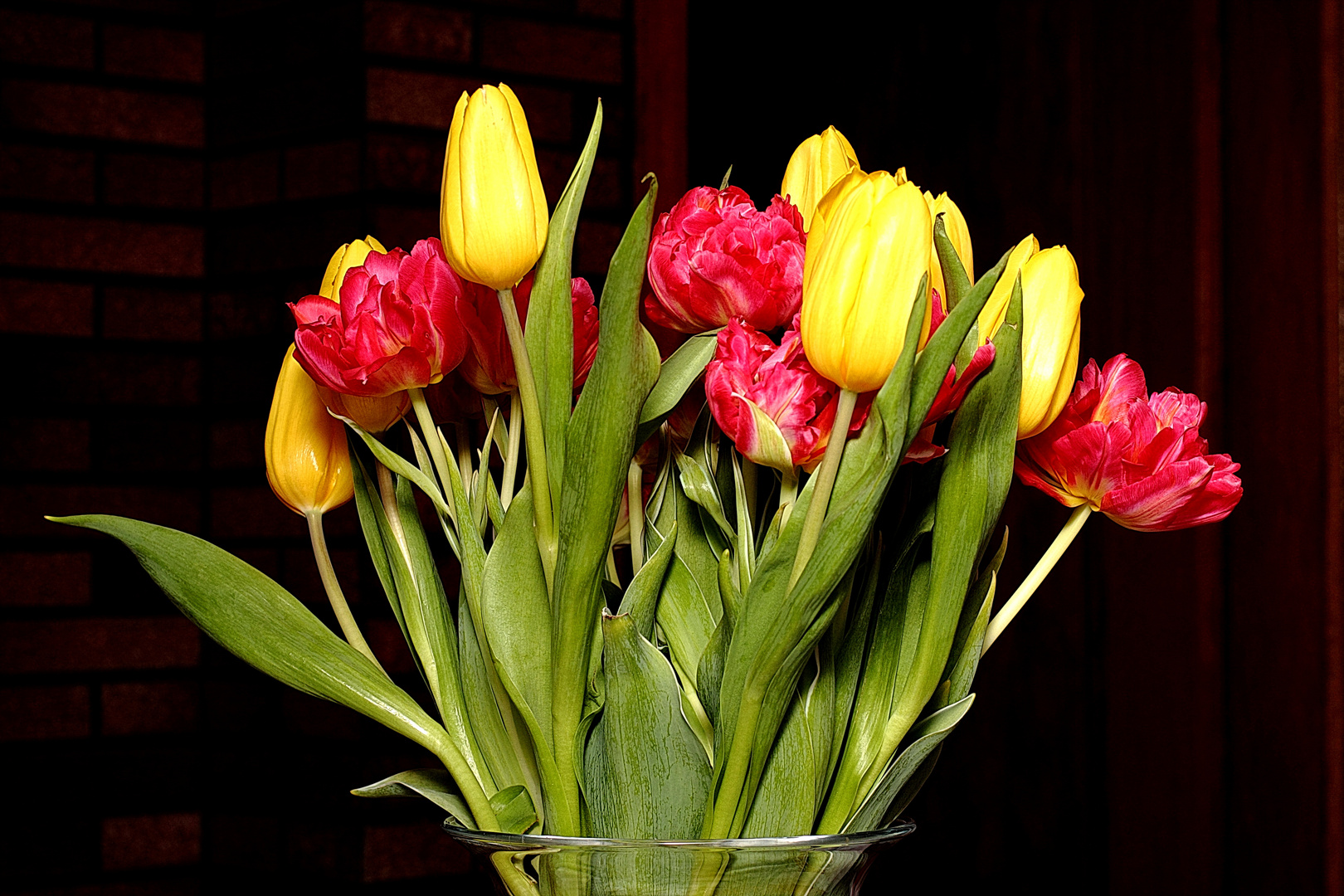 Tulpen