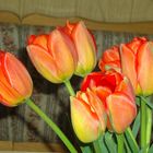 Tulpen