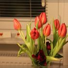 Tulpen 2