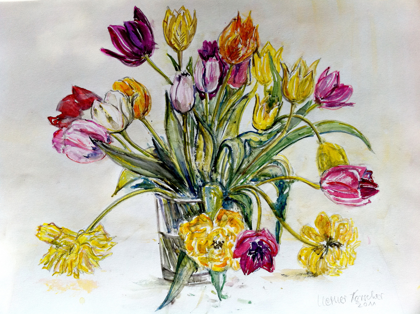 Tulpen-2011