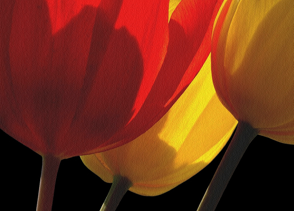 TULPEN