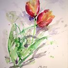 Tulpen 3