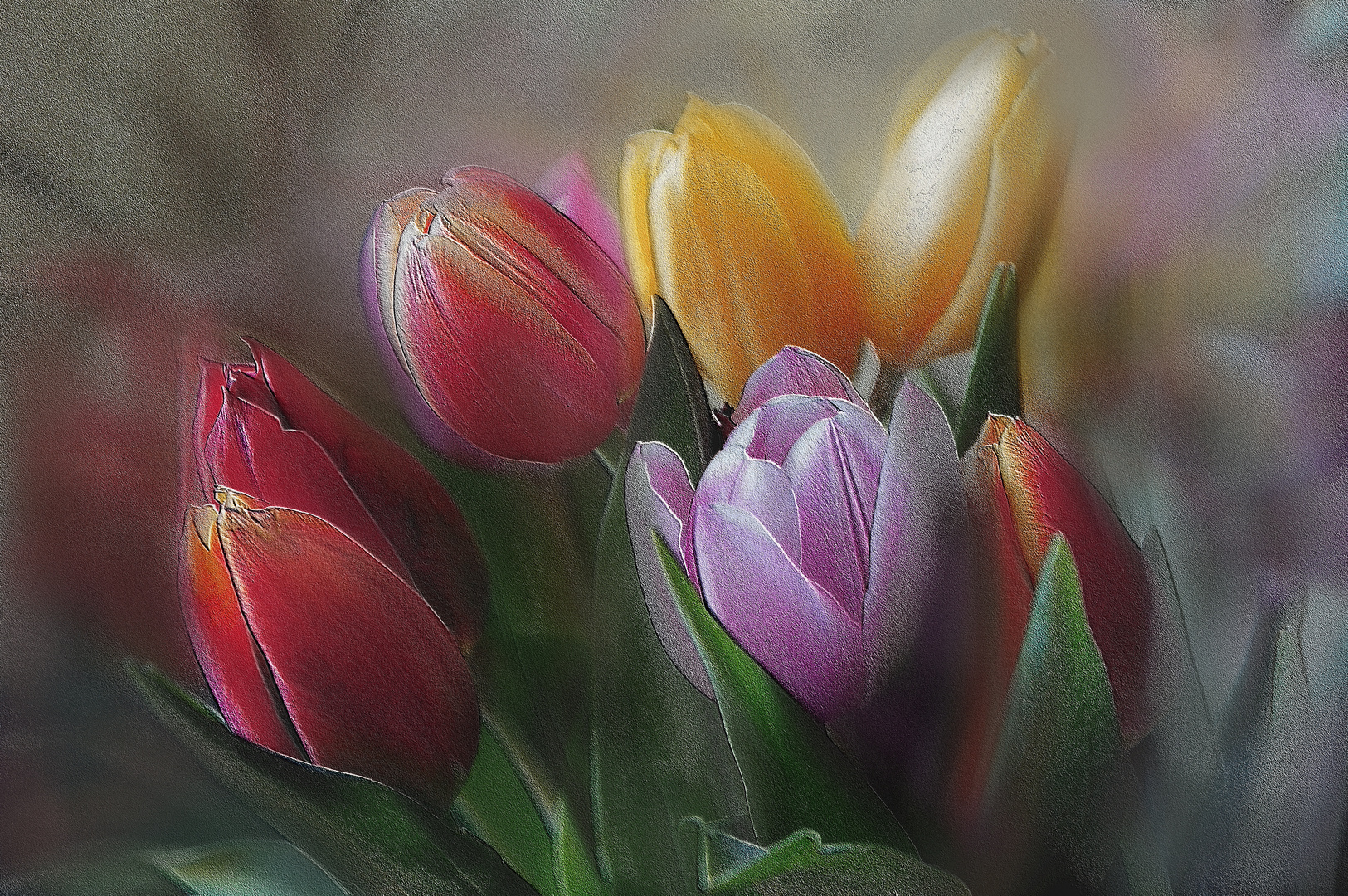 Tulpen