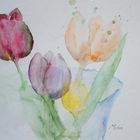 Tulpen 4