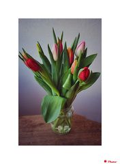 Tulpen