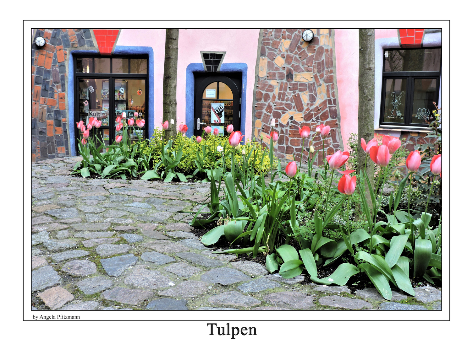 Tulpen