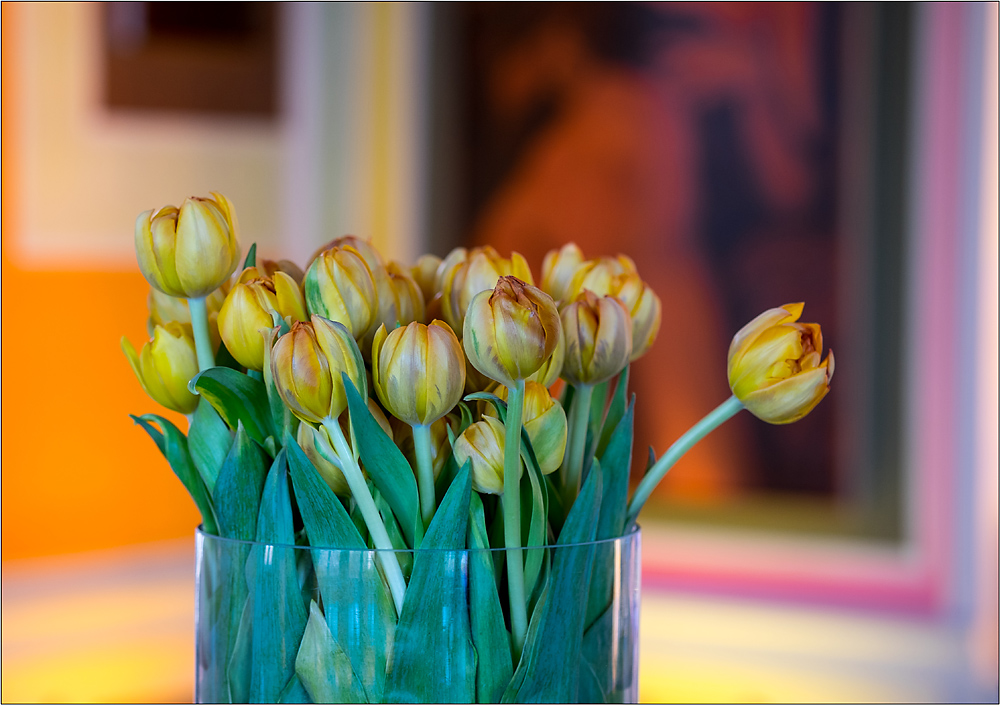 Tulpen....