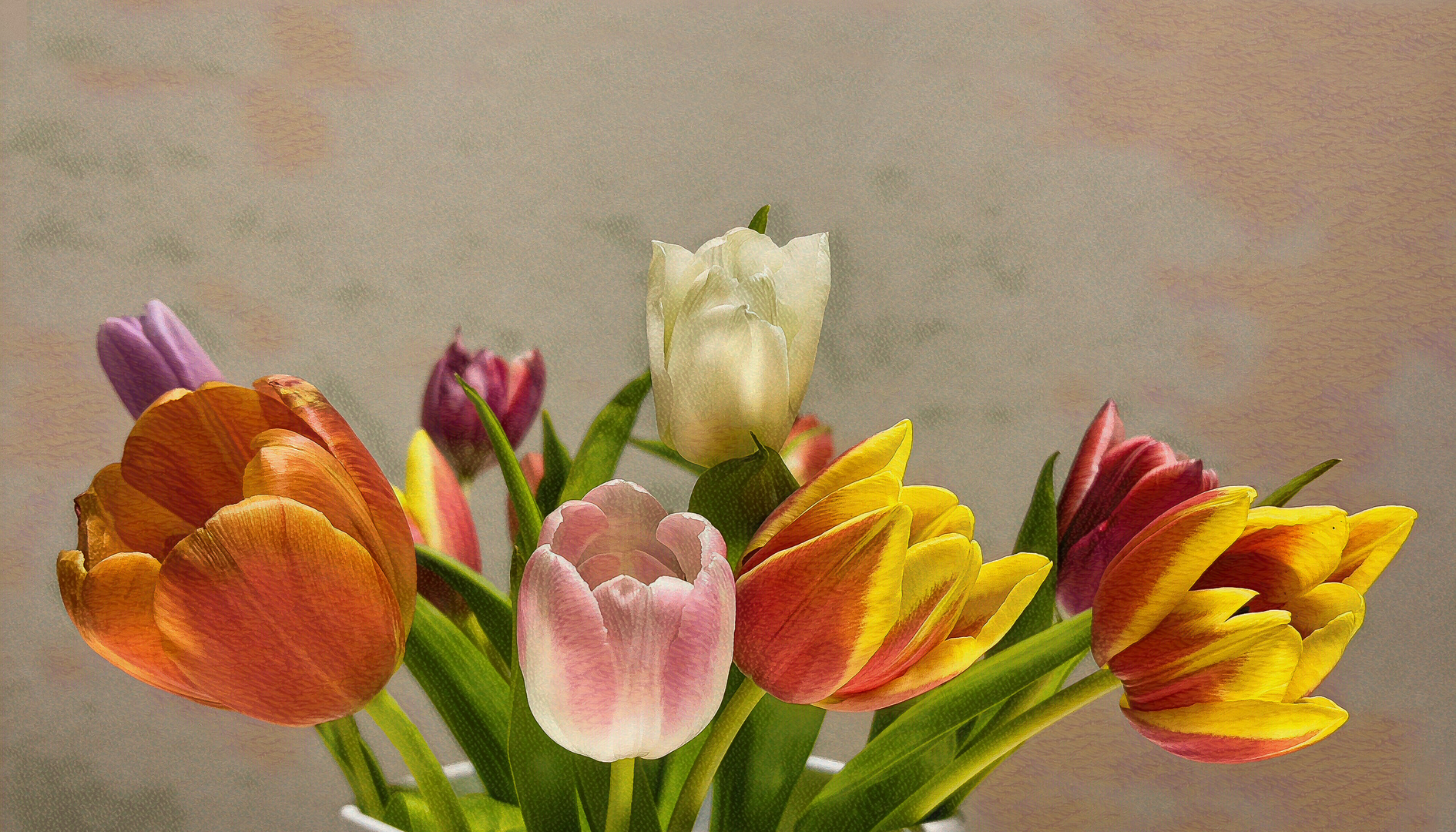 Tulpen