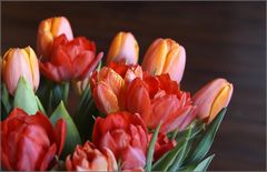 Tulpen...