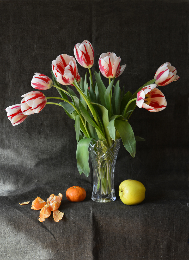 Tulpen