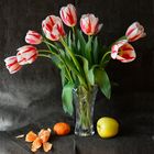 Tulpen