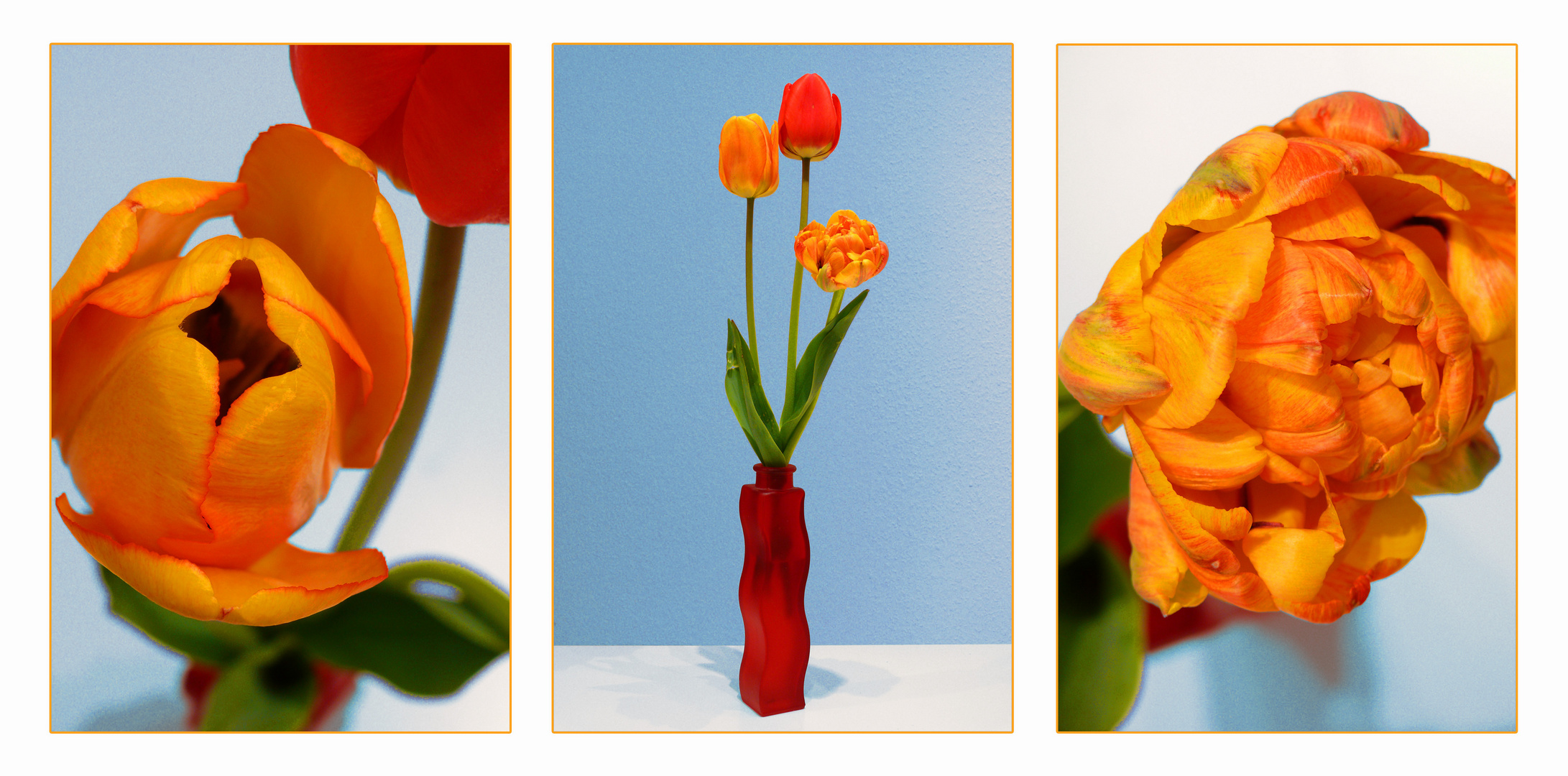 Tulpen à la Maison