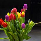 Tulpen