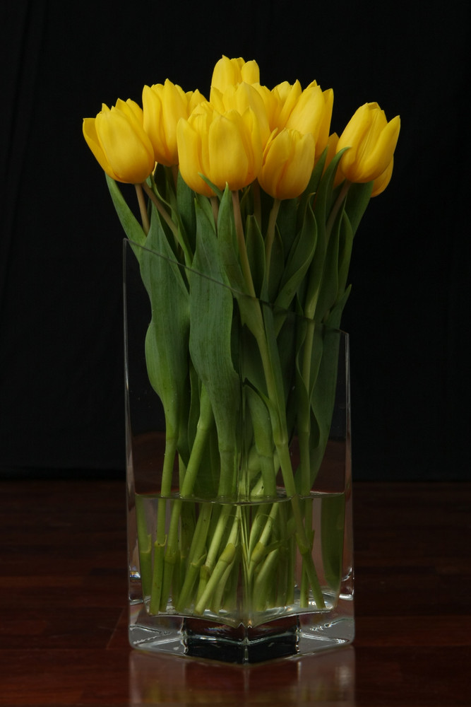 Tulpen