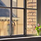 Tulpen am Fenster