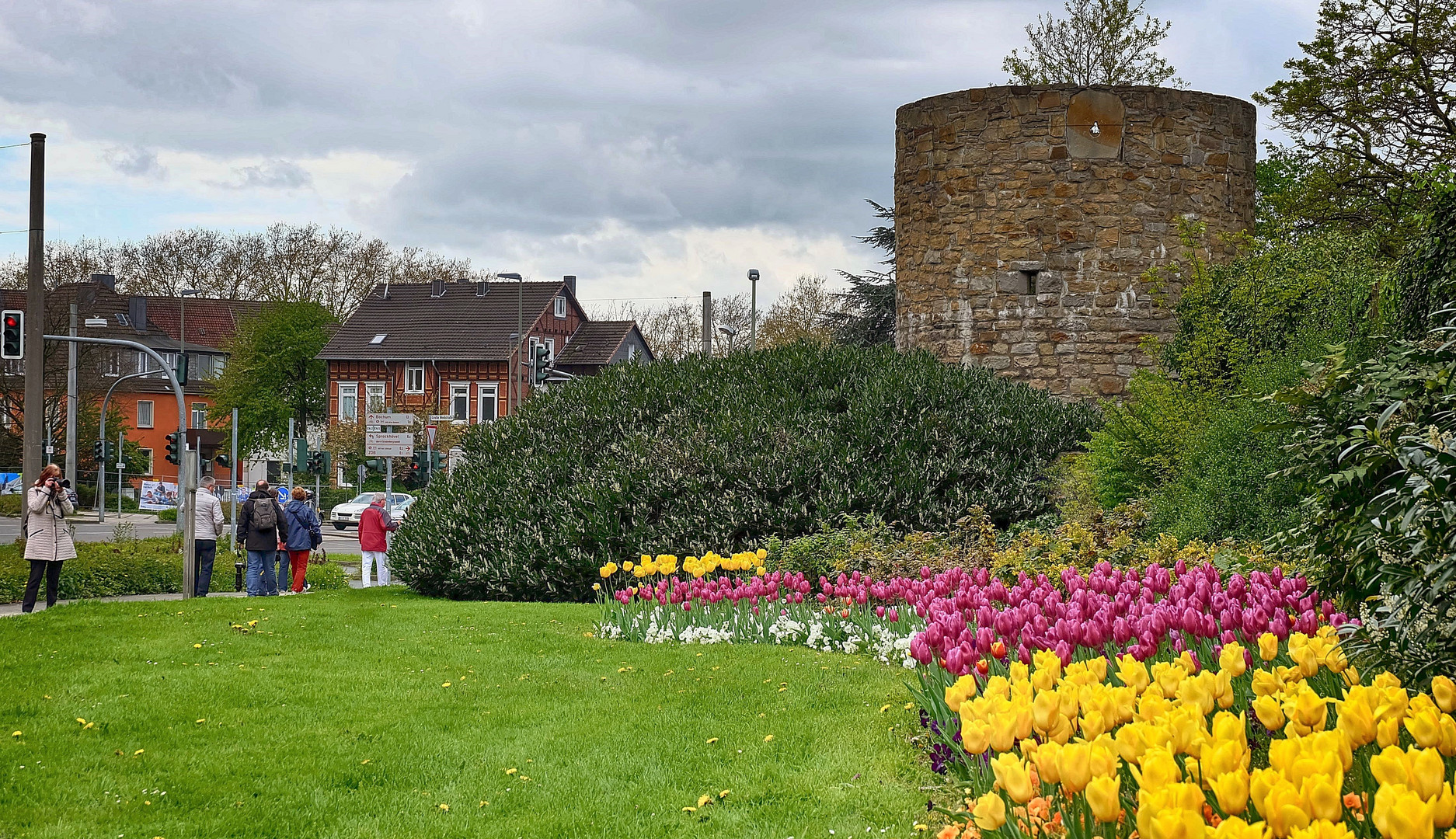 Tulpen an der Stadtmauer