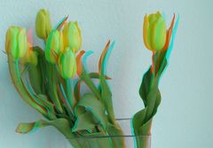 Tulpen-Arrangement (3D-Anaglyphe)