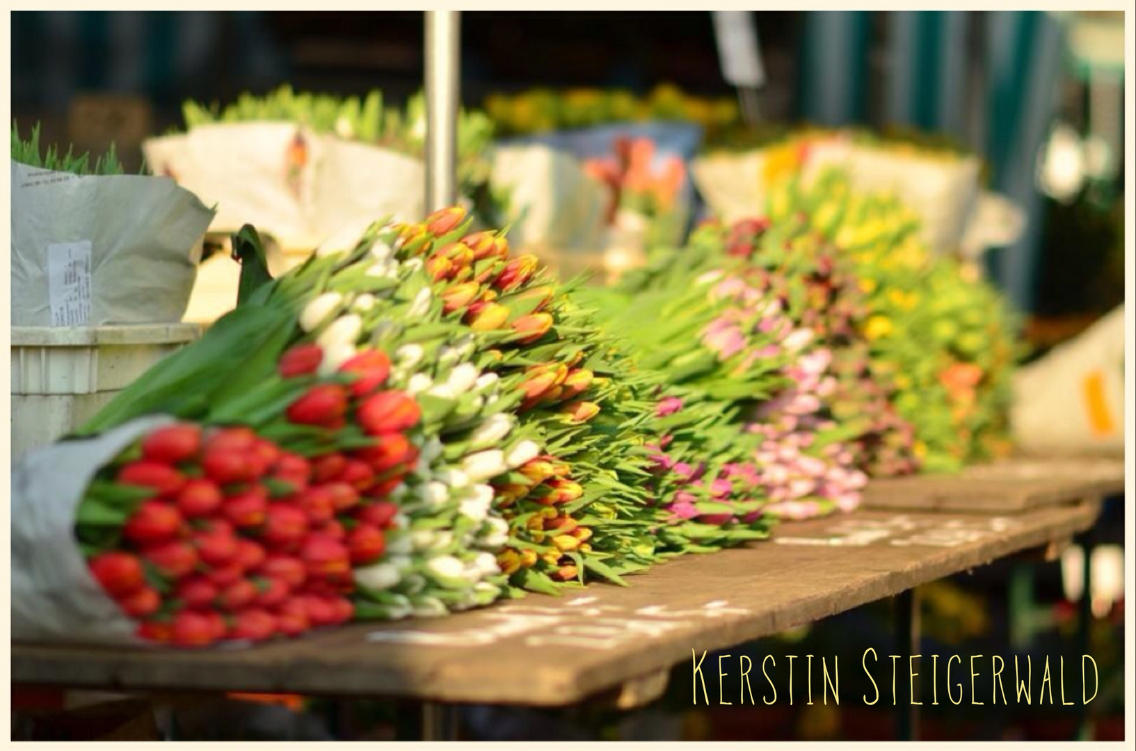 Tulpen auf dem Markt von Münster