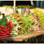 Tulpen auf dem Markt von Münster