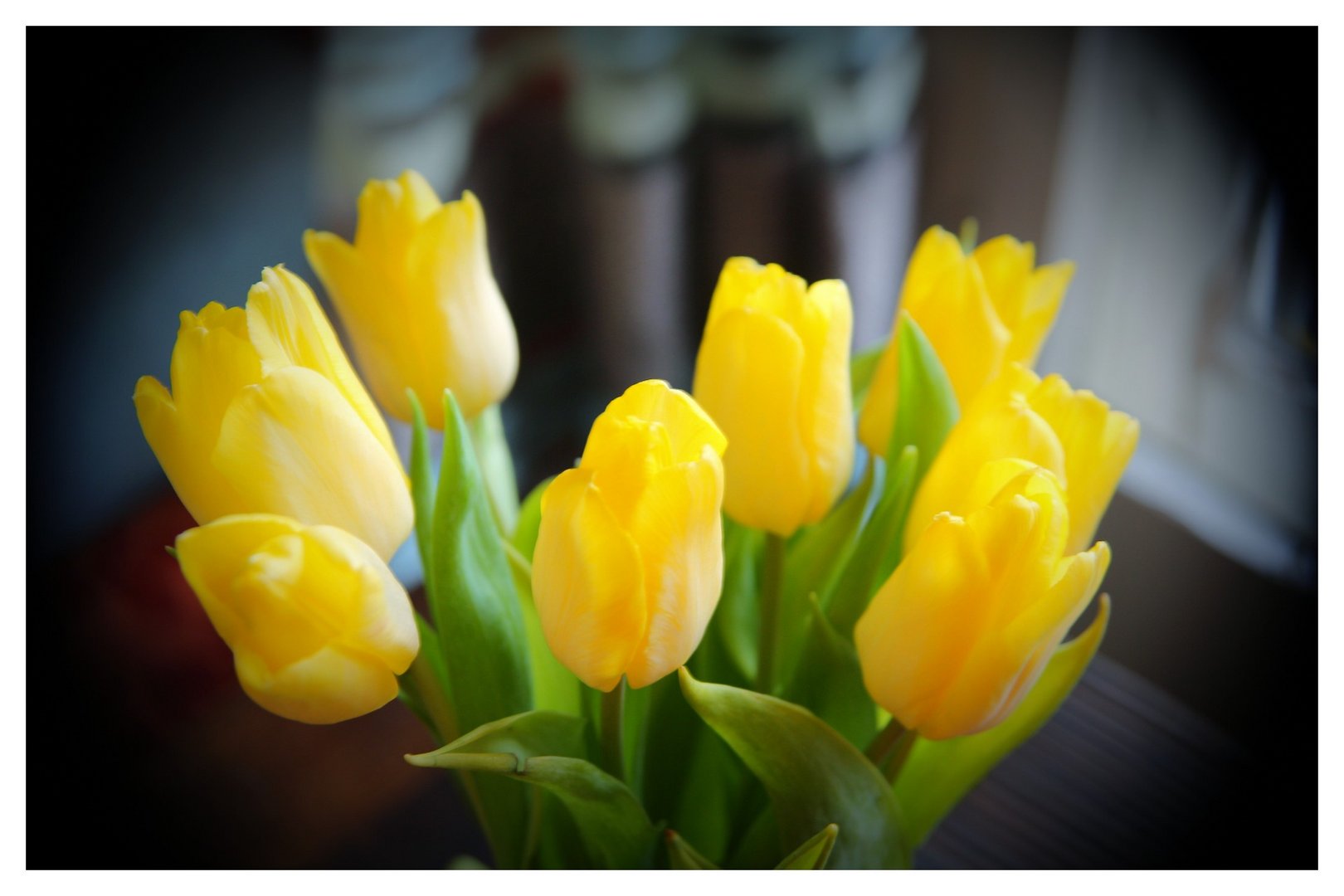 Tulpen auf dem Tisch