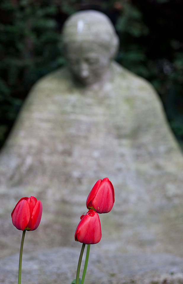 Tulpen auf Melaten