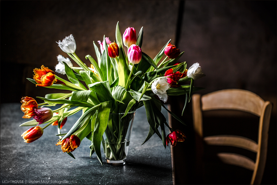 Tulpen auf Tisch vor Wand