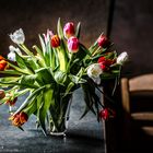 Tulpen auf Tisch vor Wand