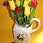Tulpen aus Amster…äh, Ostfriesland