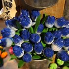 Tulpen aus Amsterdam