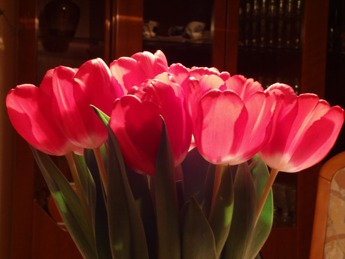 Tulpen aus Amsterdam_DSCI3987