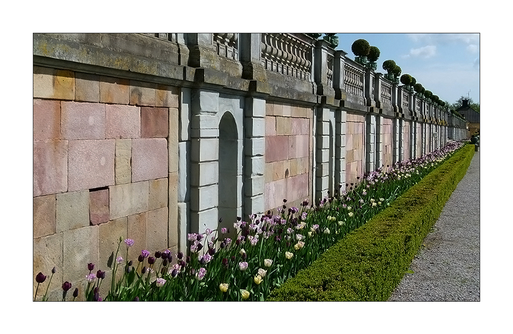 Tulpen aus Drottningholm