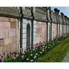 Tulpen aus Drottningholm