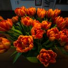 # Tulpen #