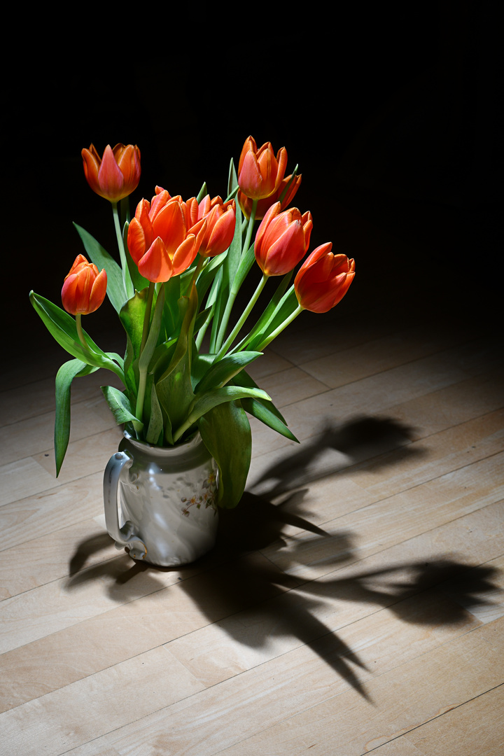 Tulpen