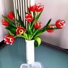 ...Tulpen...