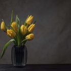 Tulpen