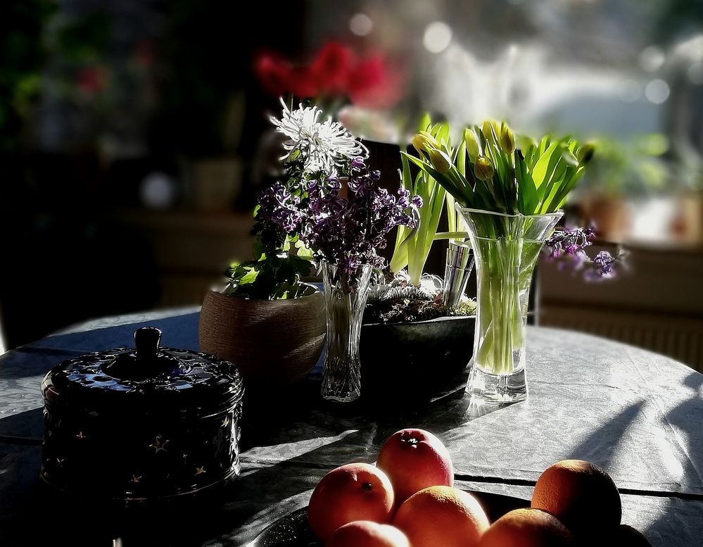 Tulpen die Frühjahrsboten... 